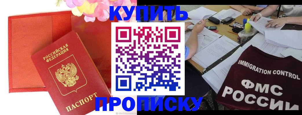 временная регистрация в Кингисеппе